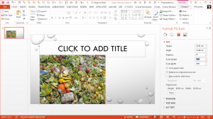 PowerPoint Magnifier Tool - Picture at 33 percent